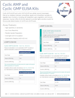 Cayman Cyclic AMP and Cyclic GMP ELISA Kits